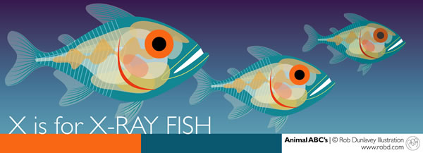 &copy; Rob Dunlavey Illustration