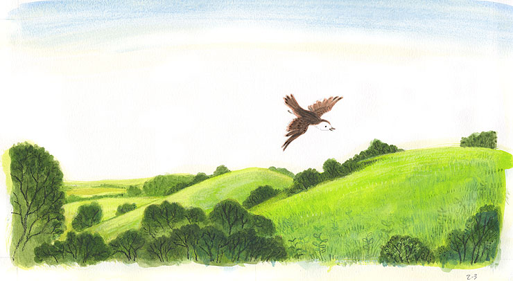 &copy; Rob Dunlavey Illustration