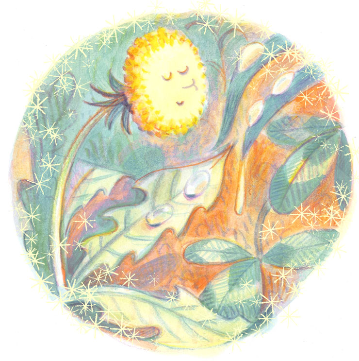 &copy; Rob Dunlavey Illustration