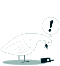 Rob Dunlavey Illustration